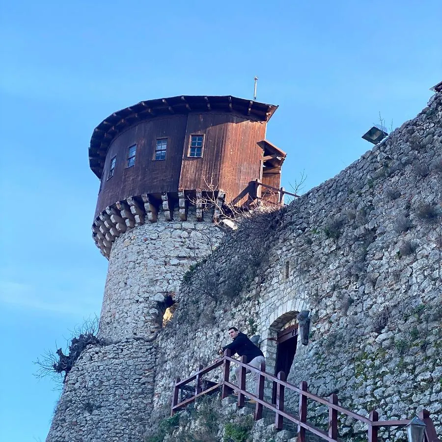 Villa Melodia Tirana